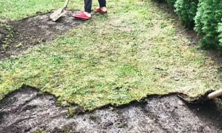 Снятие дерна старого газона в Реутове – от 524 руб. | ИП Садыков В. Р.